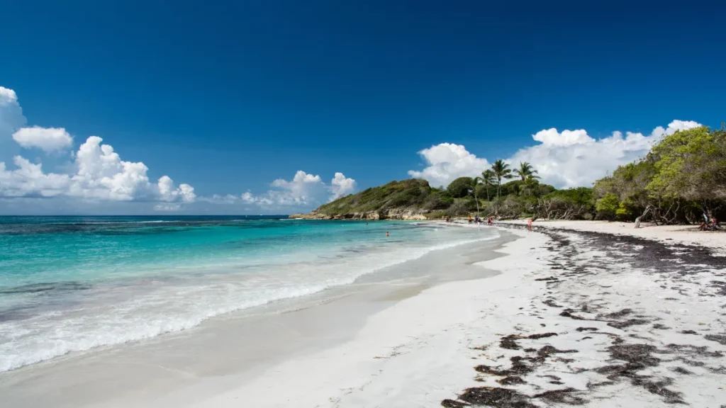 plage st félix guadeloupe gosier